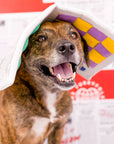 Newspaper Nosework Toy
