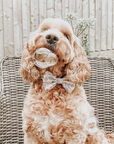 Meaty Bubbles – pet-safe, meat-flavored edible bubbles made with non-toxic, vegan‑friendly, gluten‑free ingredients; a 150 ml bottle of irresistible scented bubbles that dogs love to chase, lick, and pop.