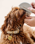 Pupwell Detailer Comb Brush – designed for gentle detangling, precision grooming, and a sleek finish for every coat.