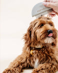 Pupwell Detailer Comb Brush – designed for gentle detangling, precision grooming, and a sleek finish for every coat.