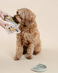 golden doodle licks food from pupwell happy feeling lick mat silicone slow feeder for dogs