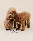 Pupwell non toxic silicone slow feeder for dogs