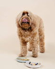 pupwell silicone slow feeder happy feeling lick mat