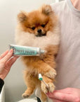 Puppy Polish™ Toothpaste (Filet Mignon Flavor) by Wag & Bright – 100 g of natural dog toothpaste made with baking soda, coconut oil, and beef flavor for fresh breath, plaque-fighting power, and a kissable smile.