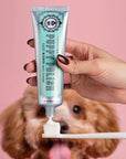 Puppy Polish Toothpaste - Filet Mignon (Beef)