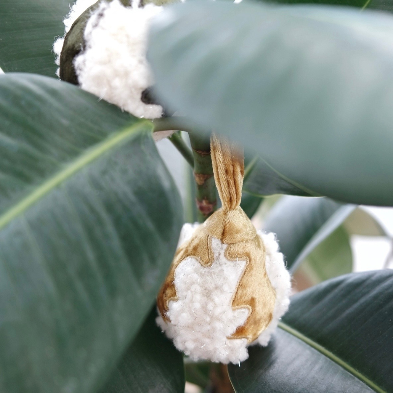 holiday dog toy hanging among green leaves