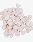 Freeze-Dried Scallops Single Ingredient