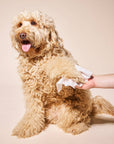Goldie - So Fresh, So Clean Probiotic Wipes