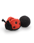 Ladybug Pop Enrichment Toy