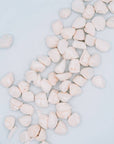 Freeze-Dried Scallops Single Ingredient