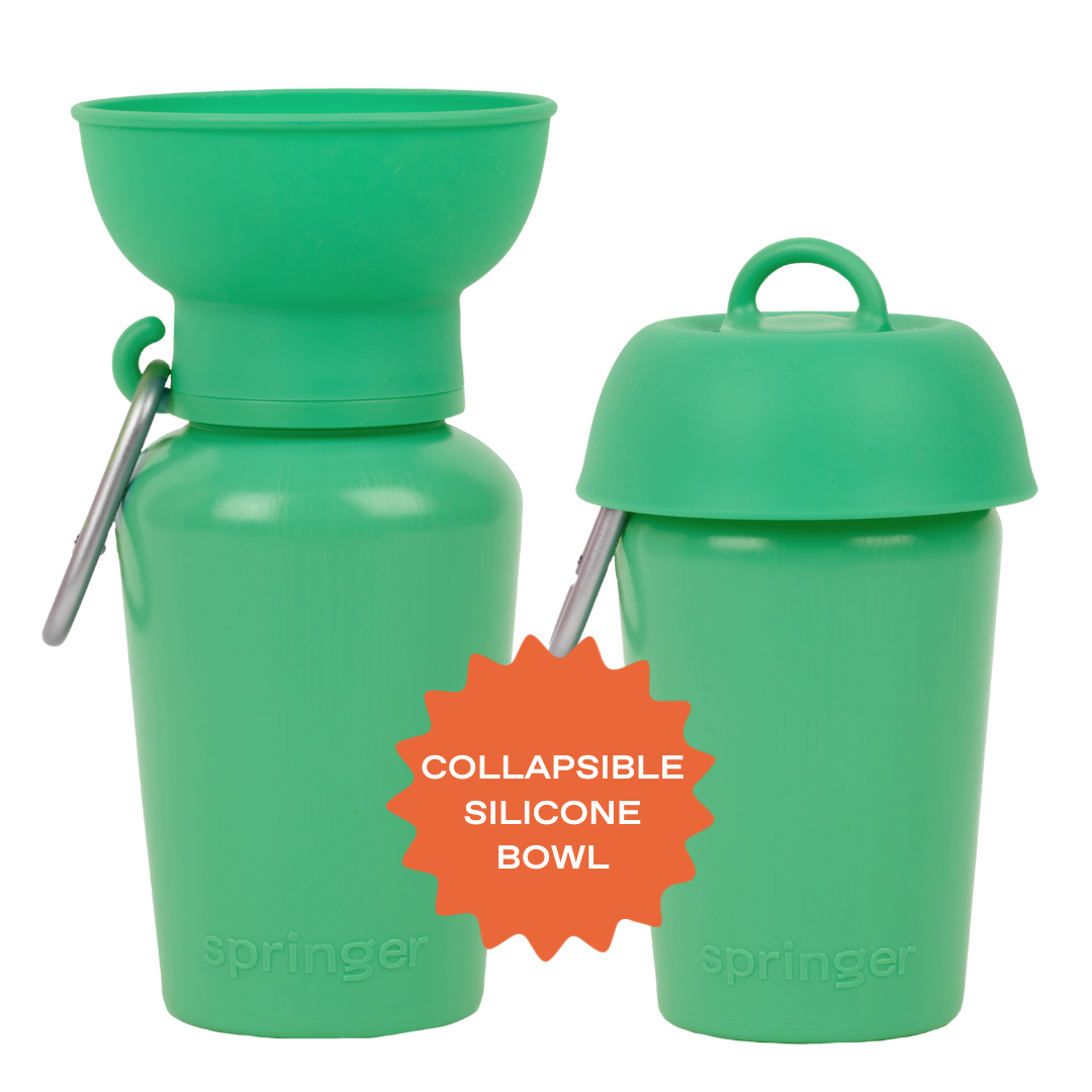 Springer Pets Travel Water Bottle