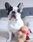 Dog sitting on a bed with a gingerbread man toy wearing a red scarf.