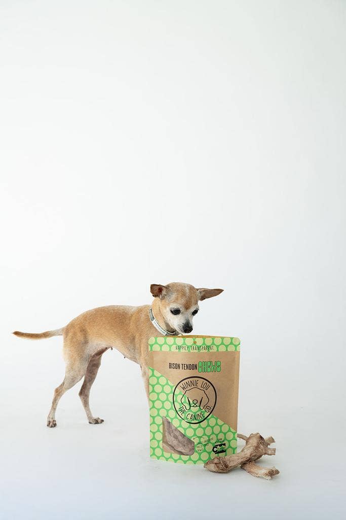 Dog looking at single-ingredient Treat Winnie Lou  Bison Tendon Chew on white background 