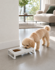 Yamazaki Home Tower Pet Food Bowl - Short