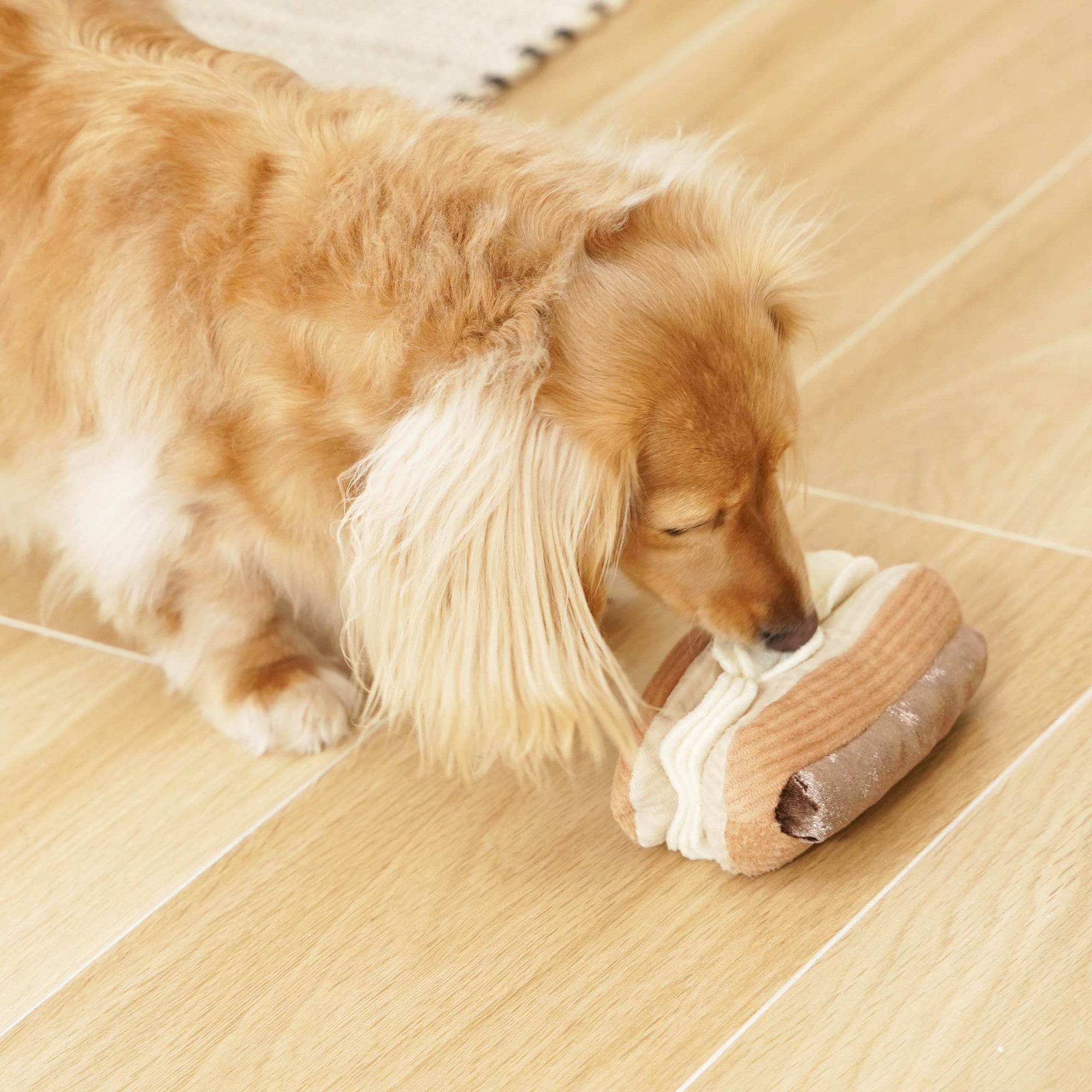 dog smells treat in Lambwolf Collective Eclair plush toy