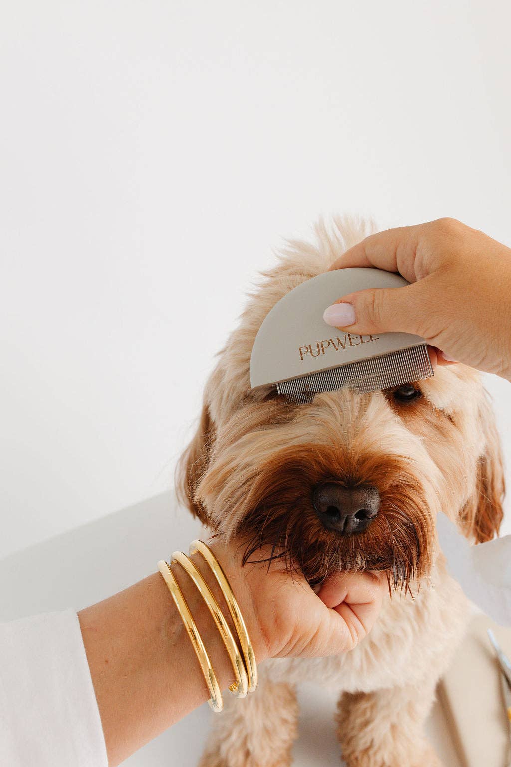 Pupwell Detailer Comb Brush – designed for gentle detangling, precision grooming, and a sleek finish for every coat.
