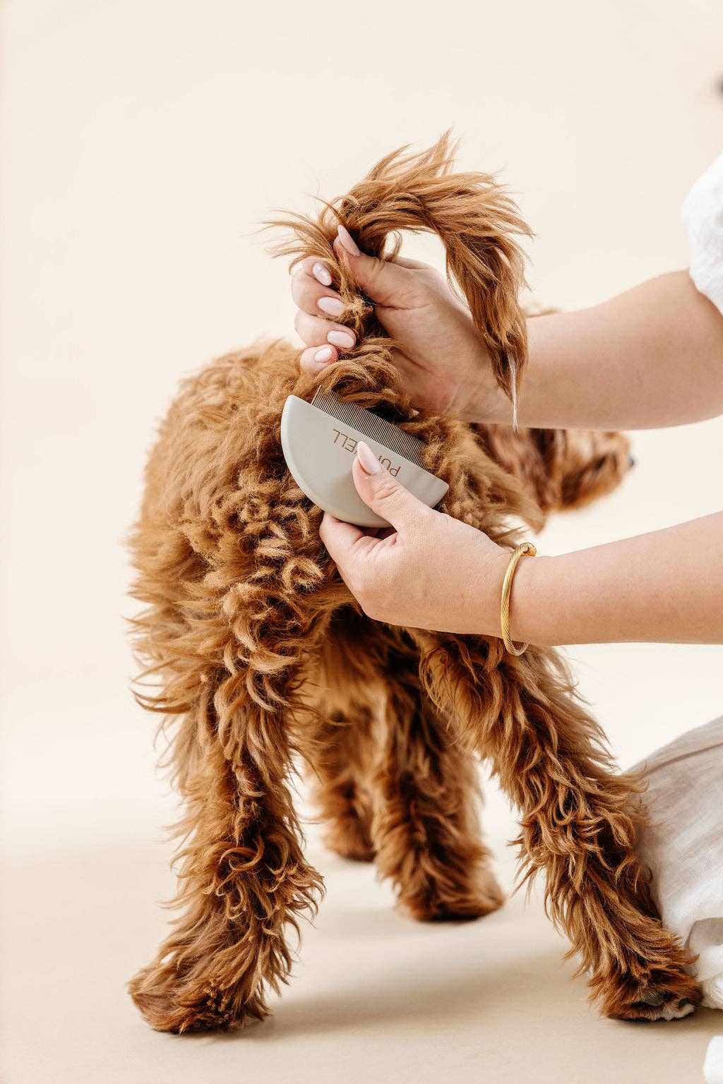 human comb the dog with Pupwell Detailer Comb
