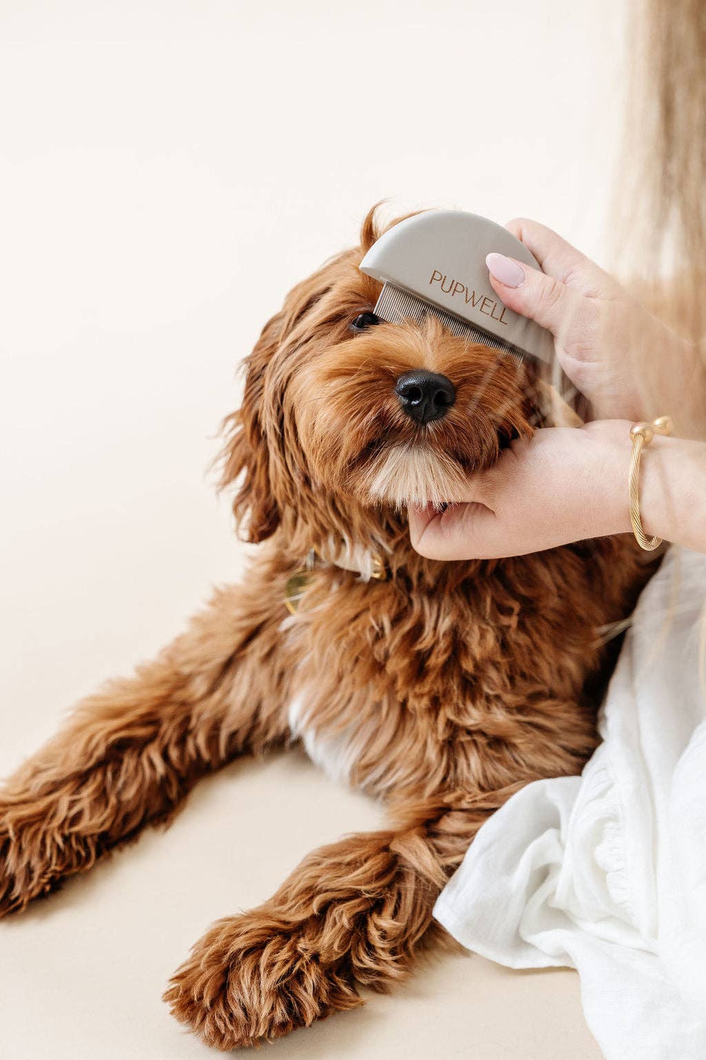 comb the dog with Pupwell Detailer Comb