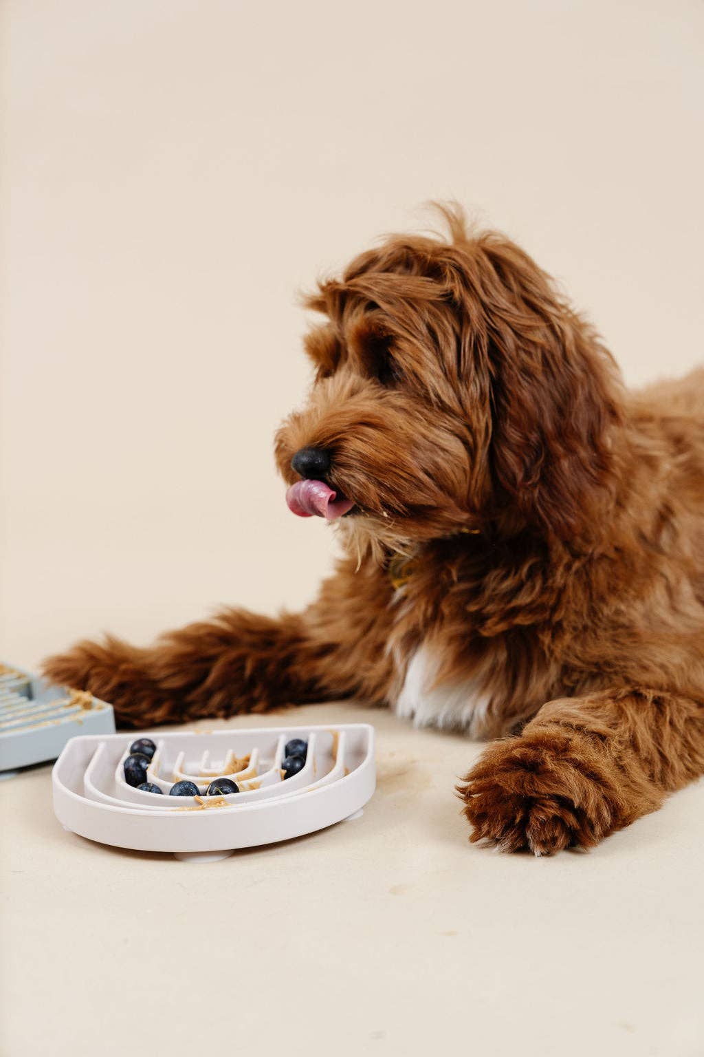 godendoodle eat blueberries in Pupwell silicone happy feeling lick mat for dogs