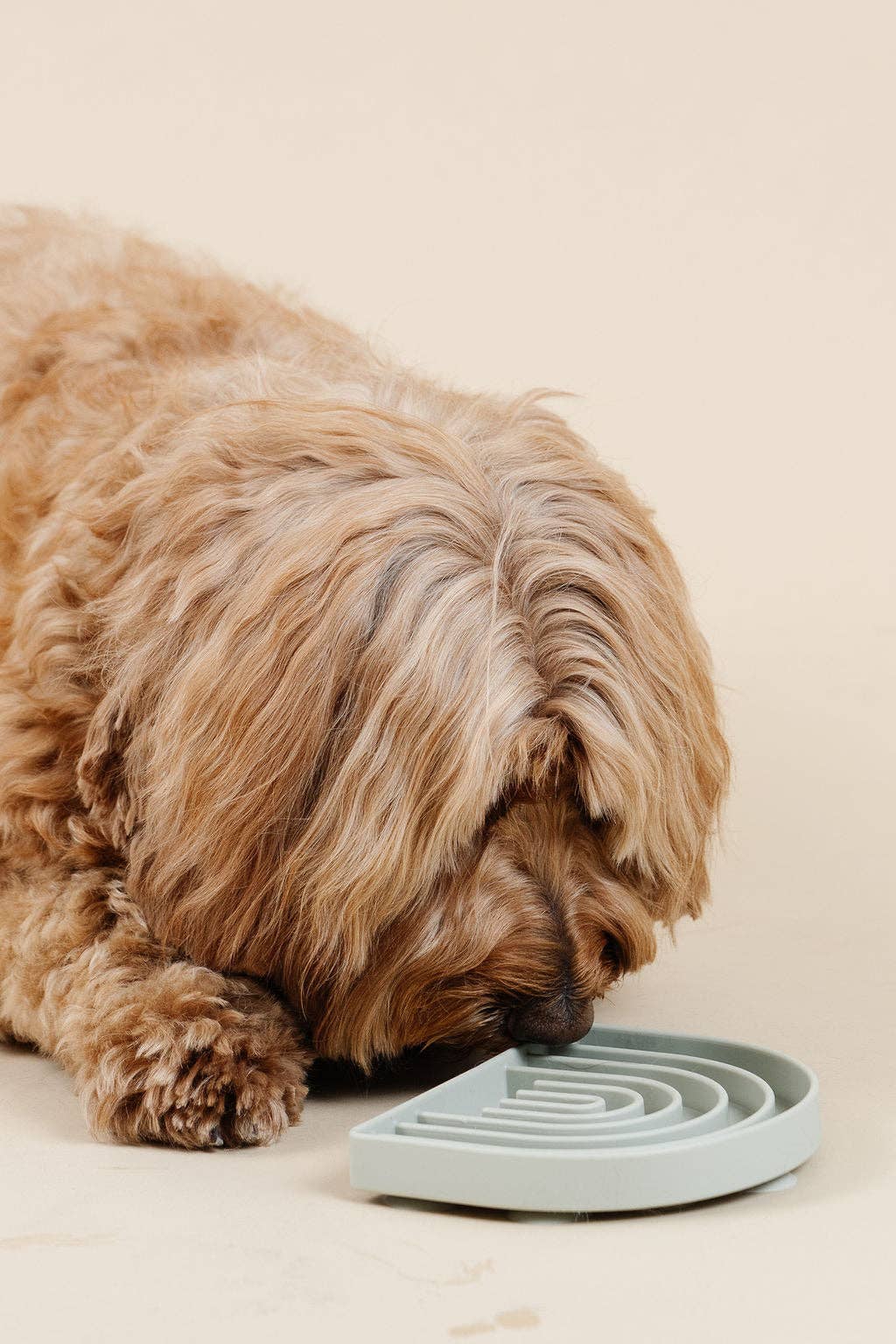 golden doodle and Pupwell silicone happy feeling lick. mat