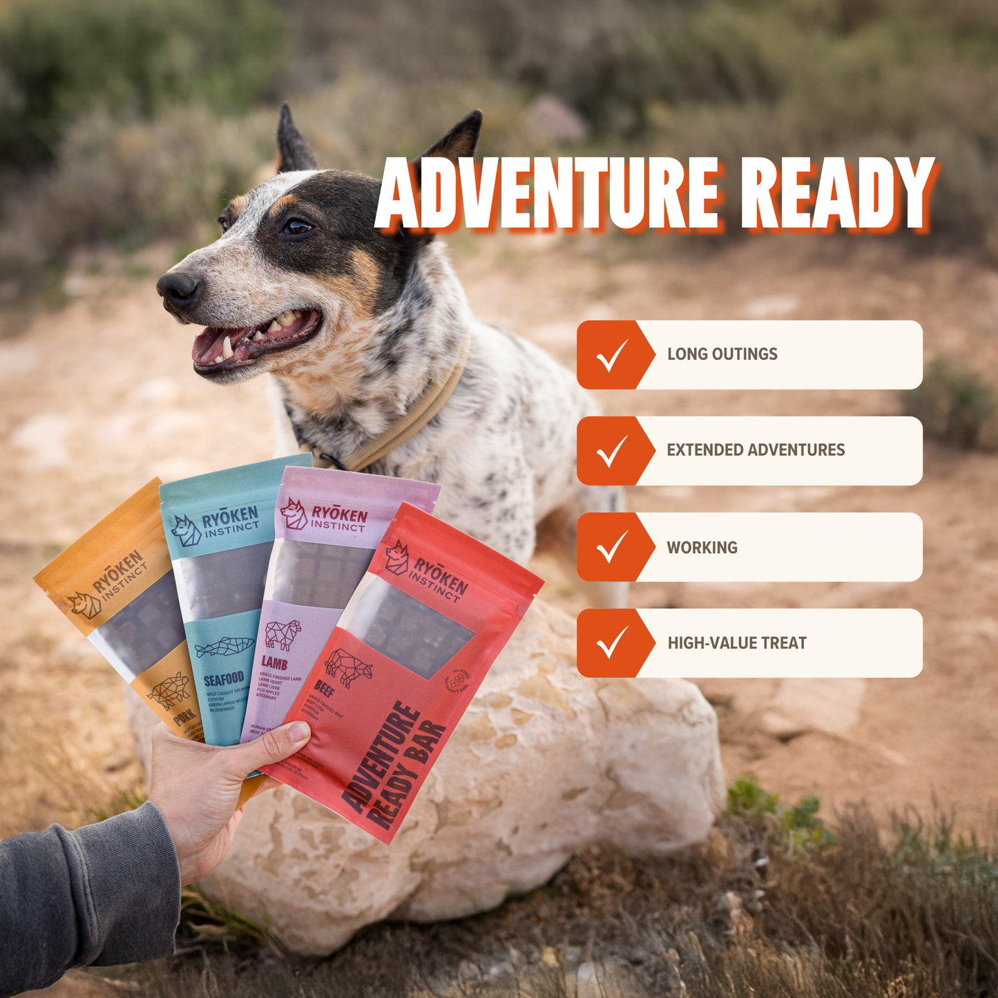 RYŌKEN INSTINCT - Variety Pack Adventure Ready Bar for Dog – PUPPIST