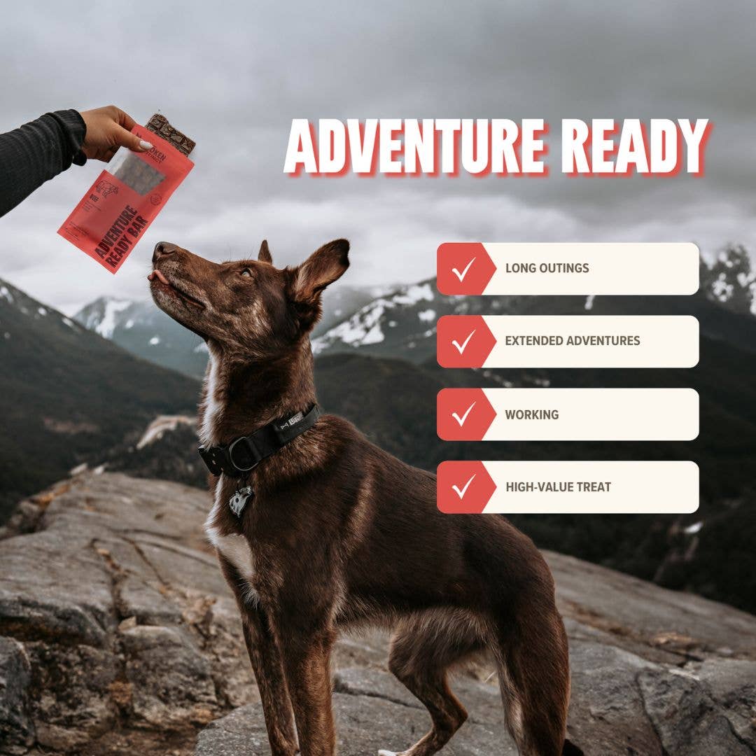 Ryoken Instinct Adventure Bar Beef information for adventure dog now at puppist.com