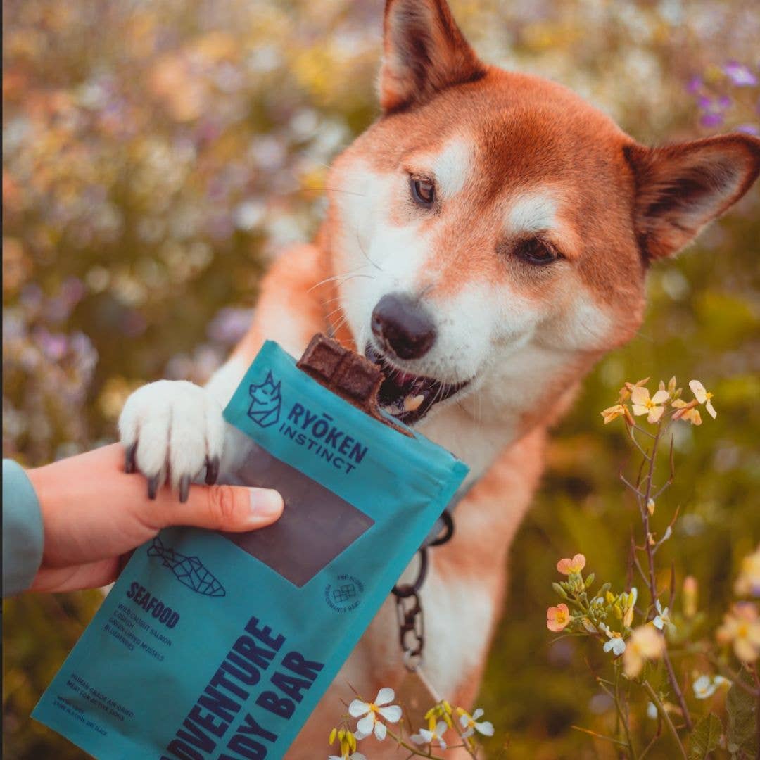 Shiba Inu Eat Seafood Ryoken Instinct Adventure ready bar for dog