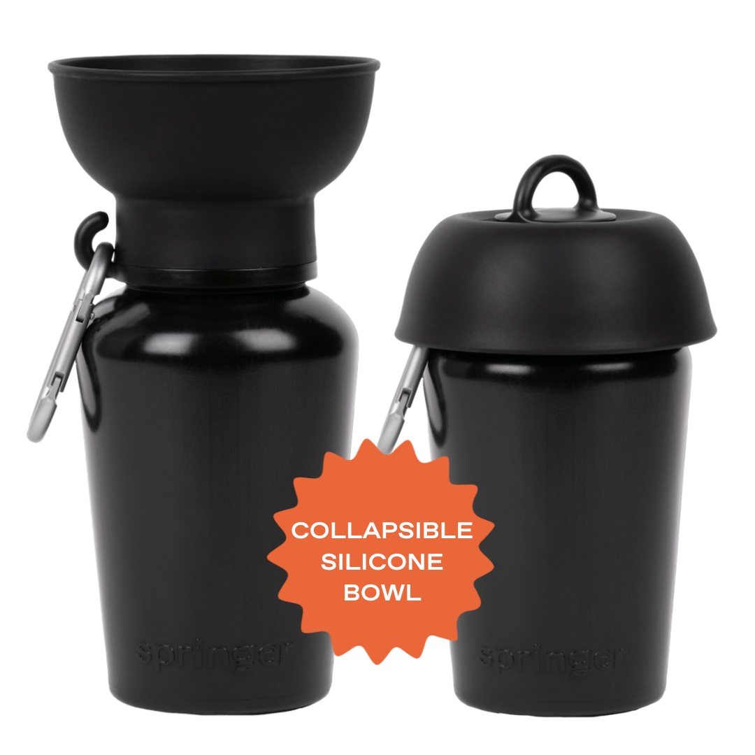 Springer Travel Dog Bottle Silicone Collapsible Bowl Flip in Black 