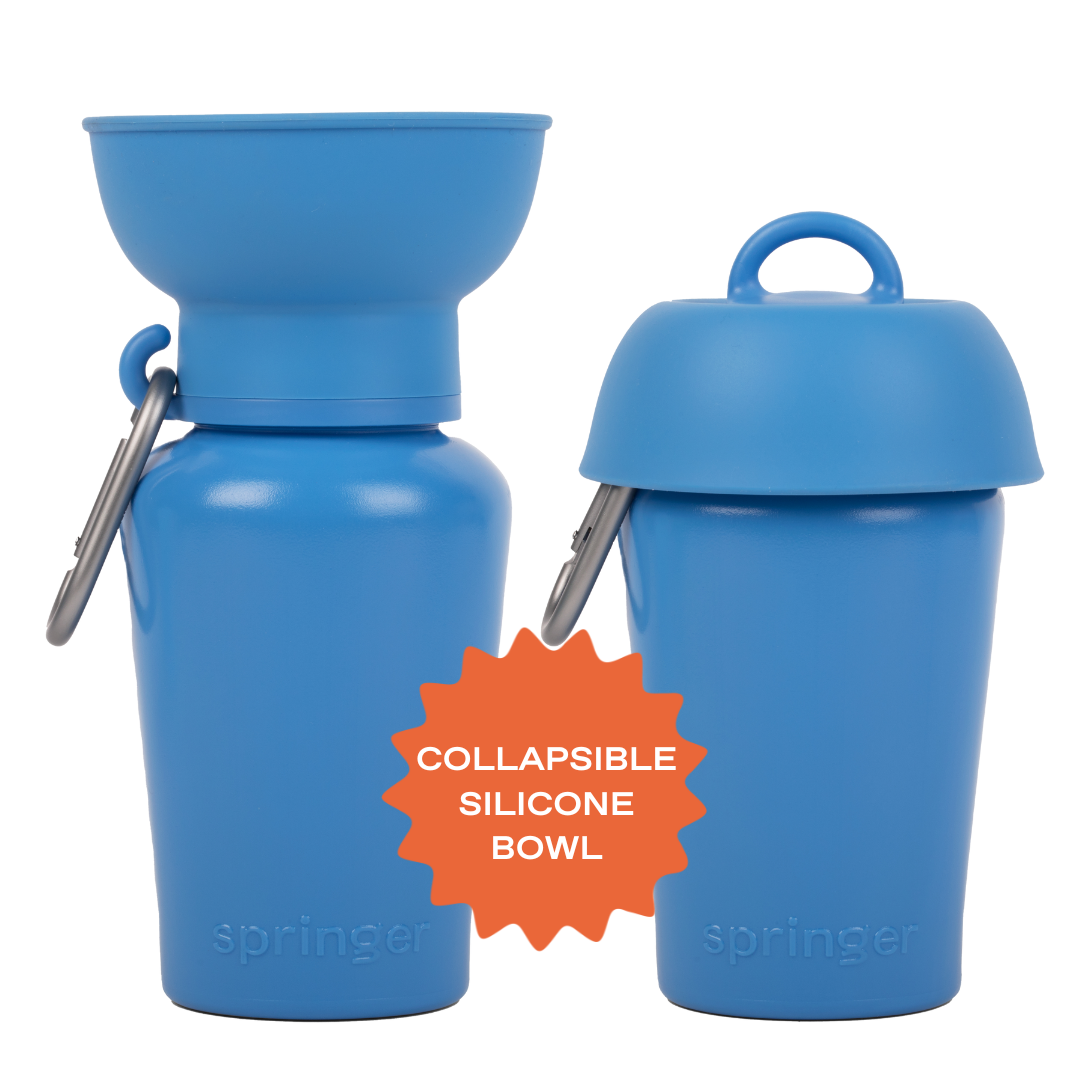 Springer Travel Dog Bottle Silicone Collapsible Bowl Flip in Blueberry Dark Blue