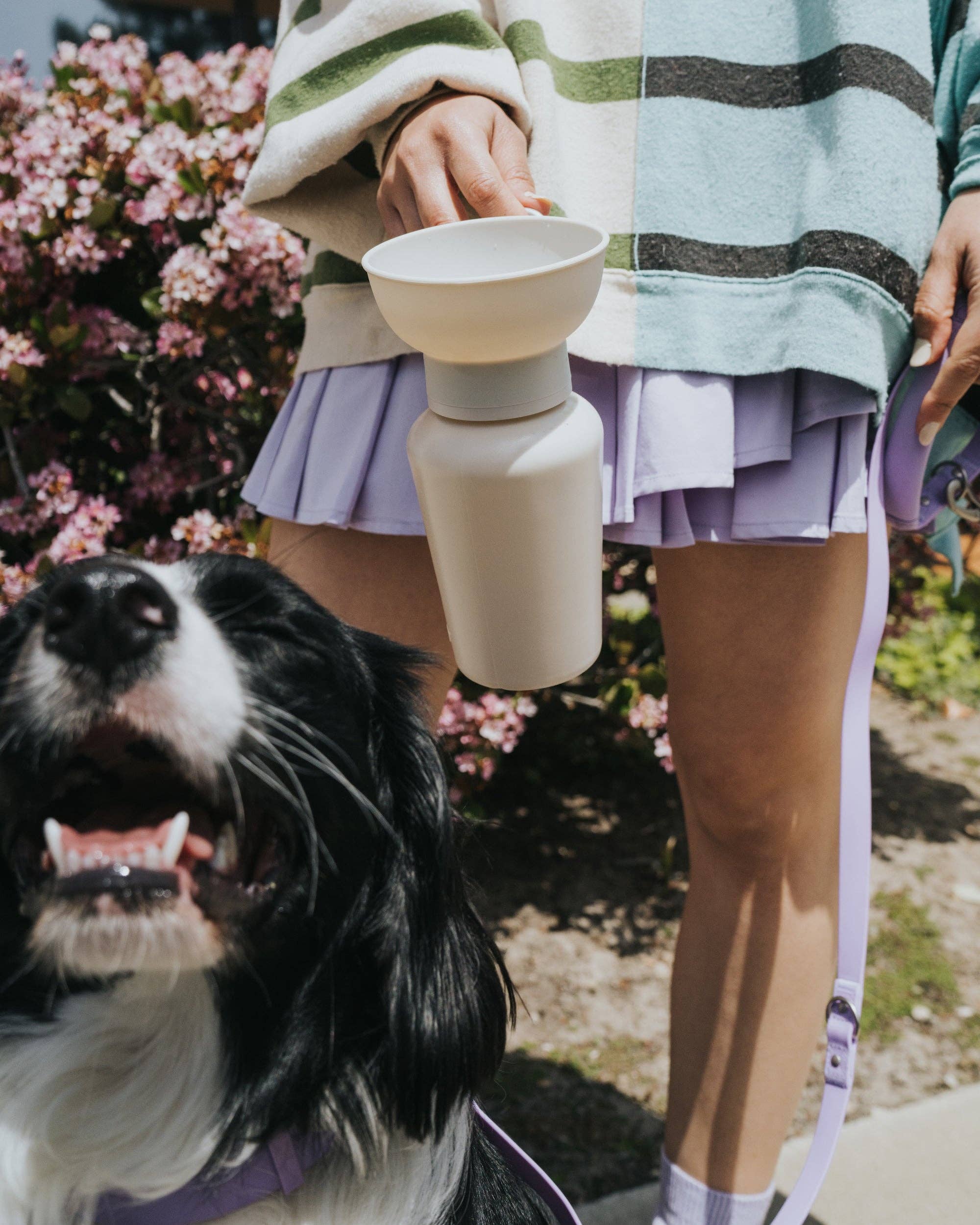 Pup parent hold Springer Travel Silicone bowl flip Bottle in Oat Color with Black and white Dog