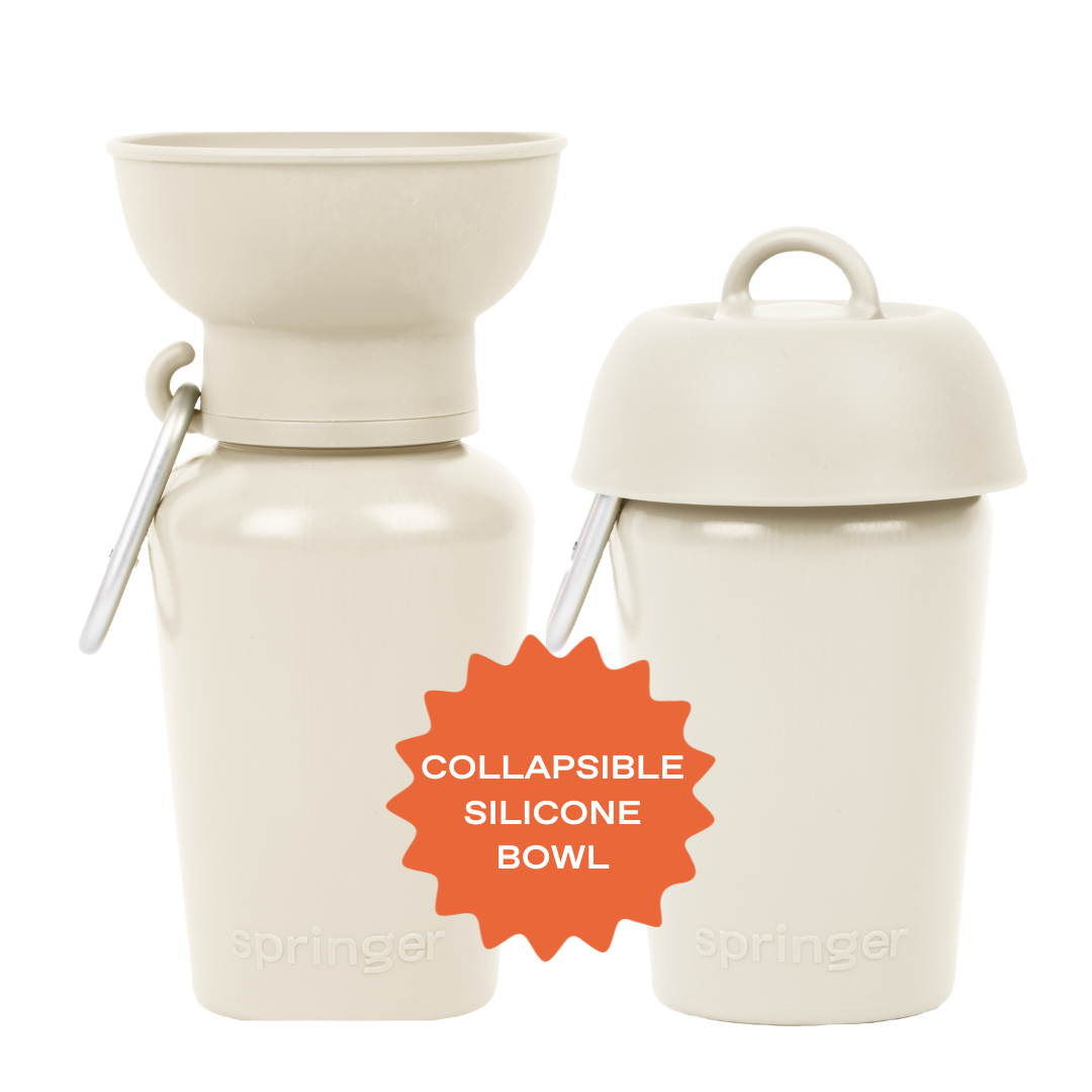 Springer Travel Dog Bottle Silicone Collapsible Bowl Flip in oat white