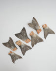 Wild Salmon Tails