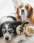 Two dogs with a holiday plush toy on a light background