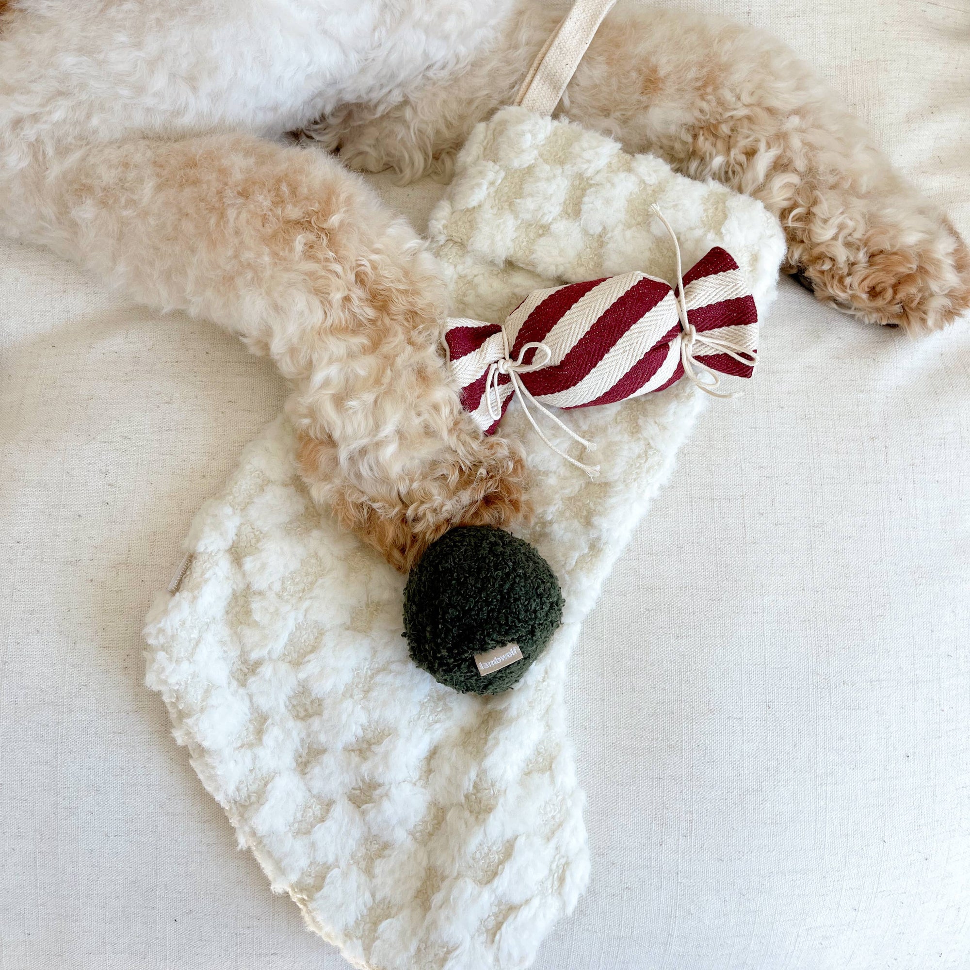 Dog toy with a red and white striped candy design on a fluffy white surface