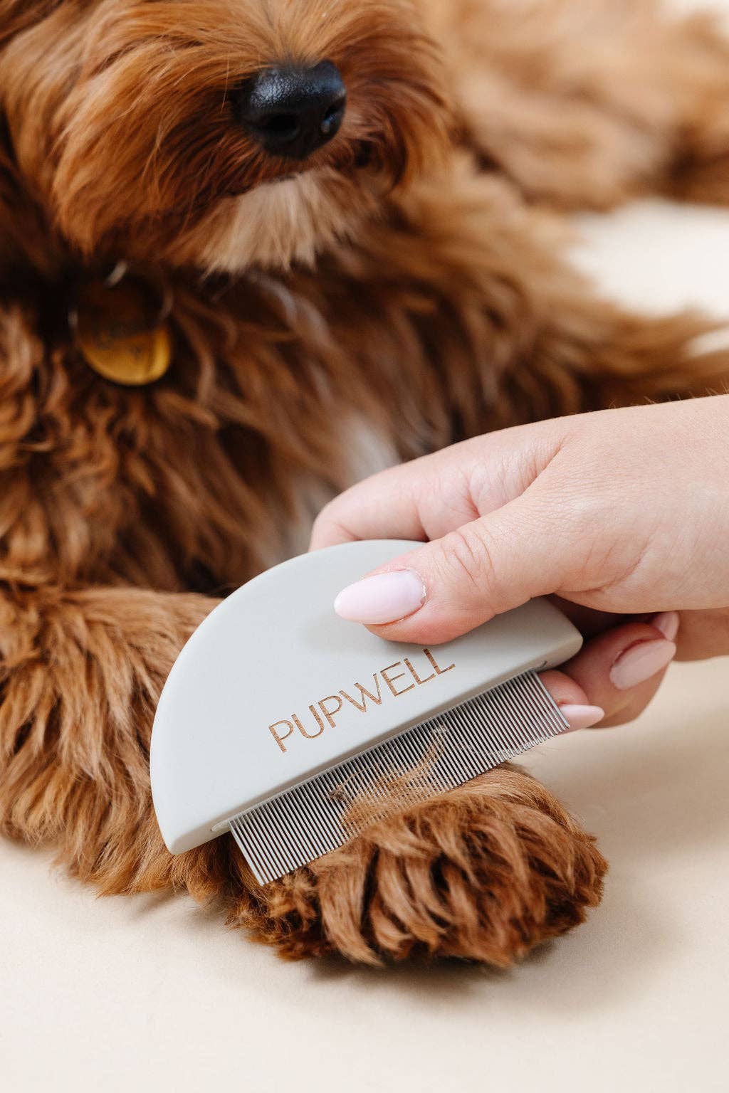 Pupwell Detailer Comb Brush – designed for gentle detangling, precision grooming, and a sleek finish for every coat.
