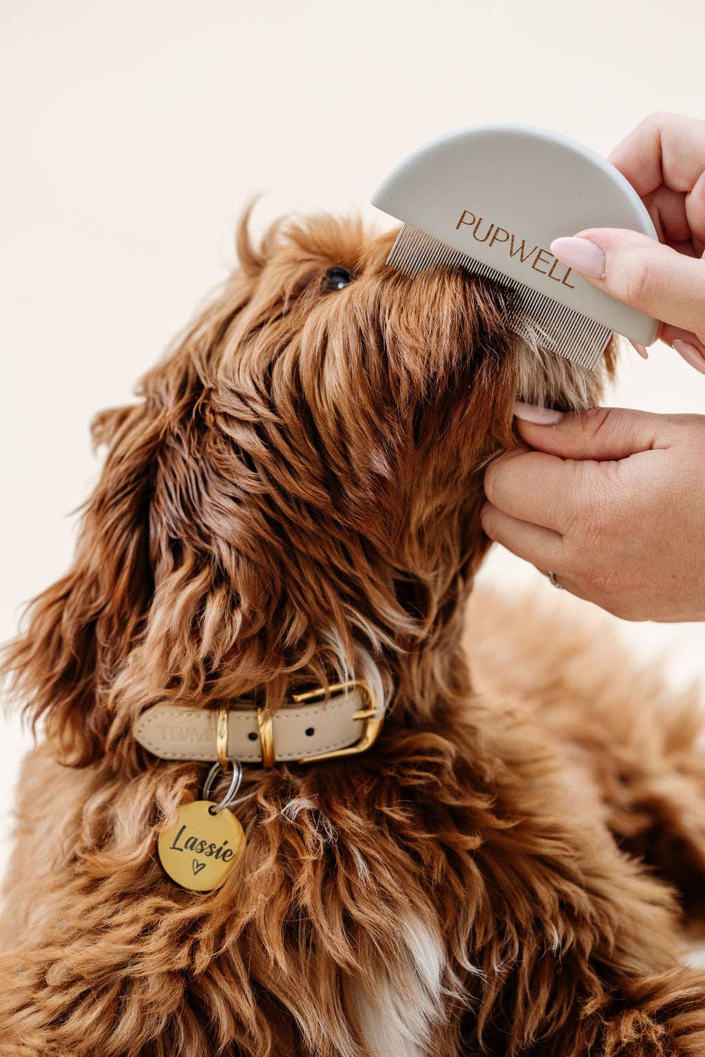Pupwell Detailer Comb Brush – designed for gentle detangling, precision grooming, and a sleek finish for every coat.