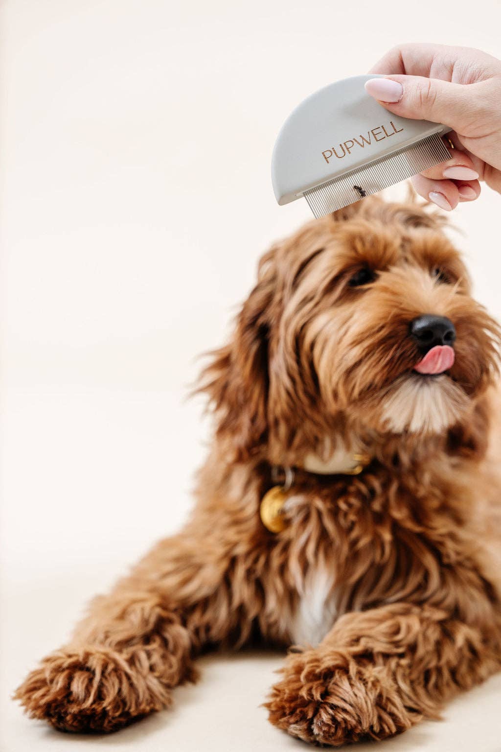 Pupwell Detailer Comb Brush – designed for gentle detangling, precision grooming, and a sleek finish for every coat.