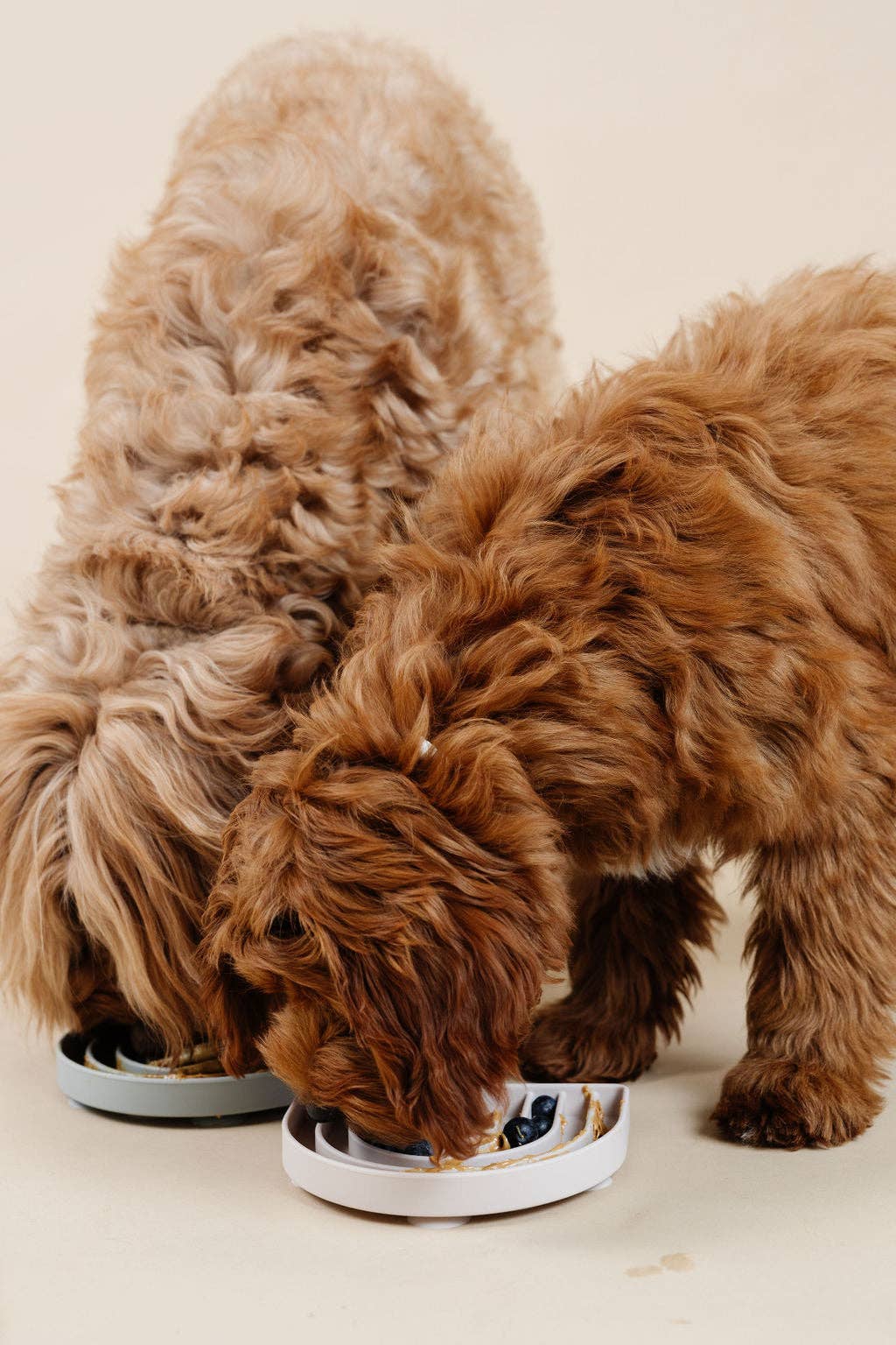 2 golden doodle lick food from silicone slow feeder from pupwell happy feeling lick mat