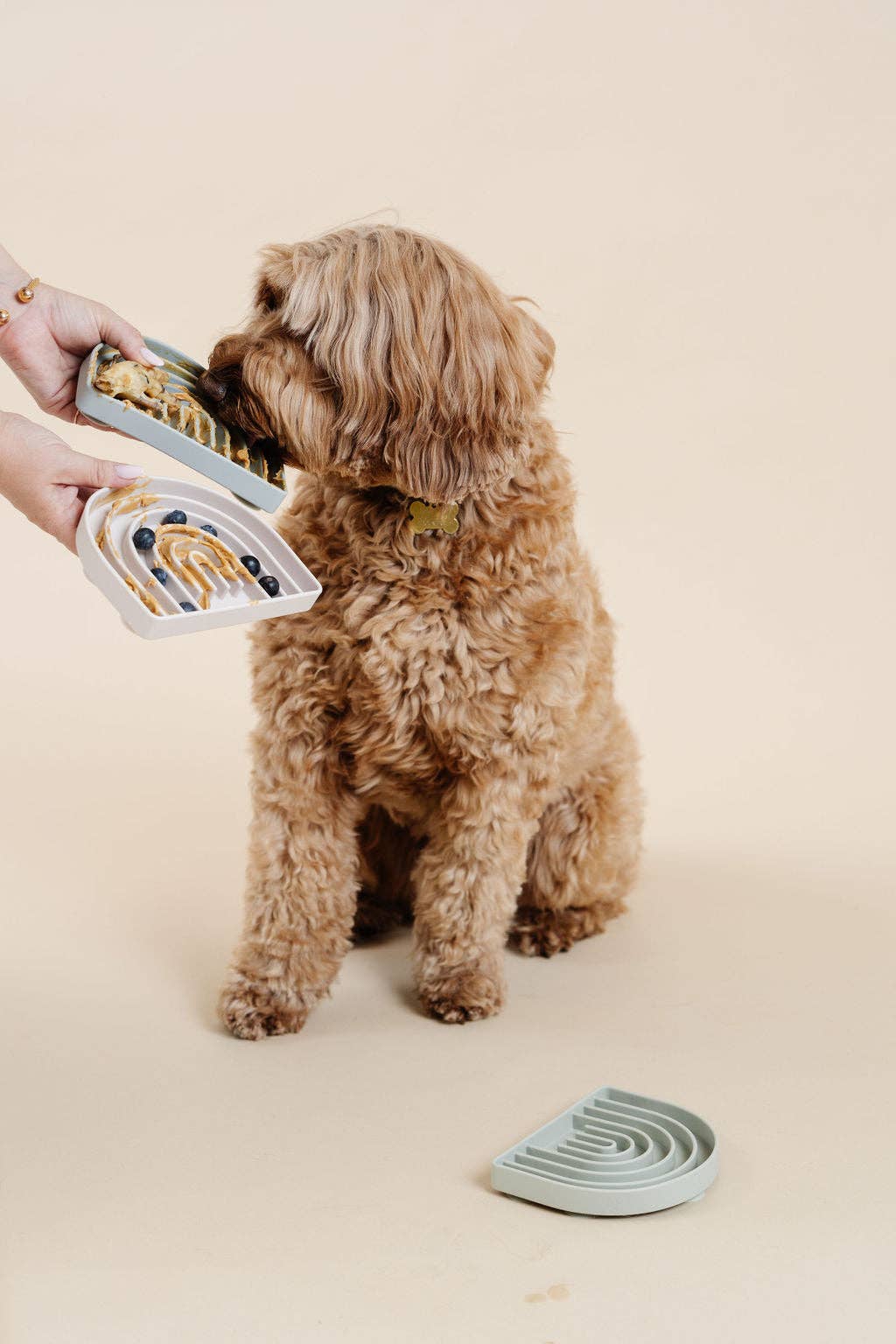 golden doodle licks food from pupwell happy feeling lick mat silicone slow feeder  for dogs