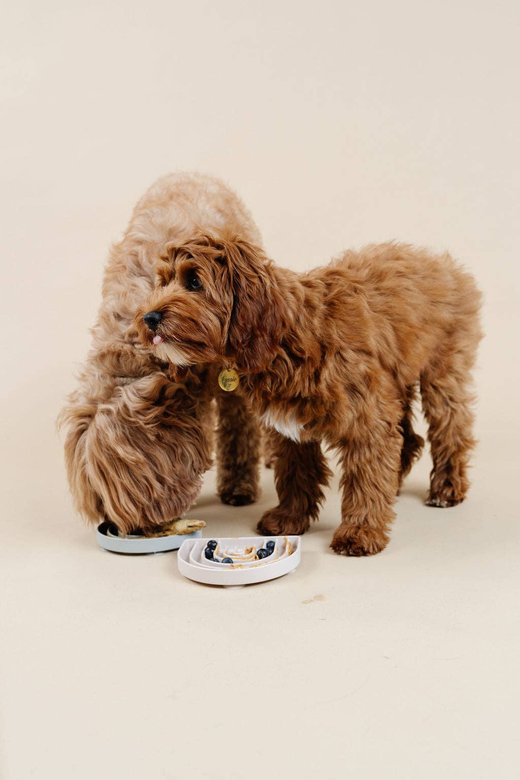 Pupwell non toxic silicone slow feeder for dogs
