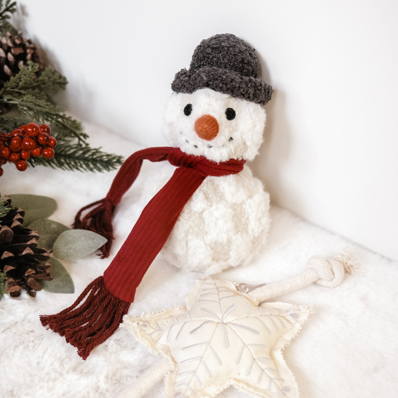 Small snowman dog toy with a red scarf, black hat, and carrot nose on a white background.